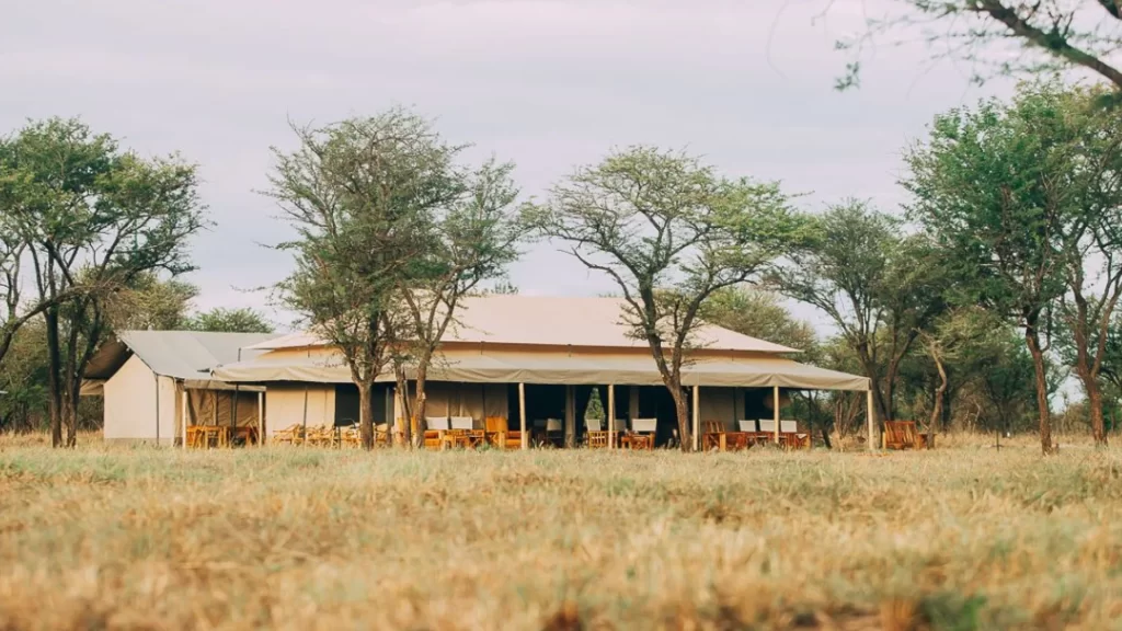 Kon Tiki Serengeti Camp