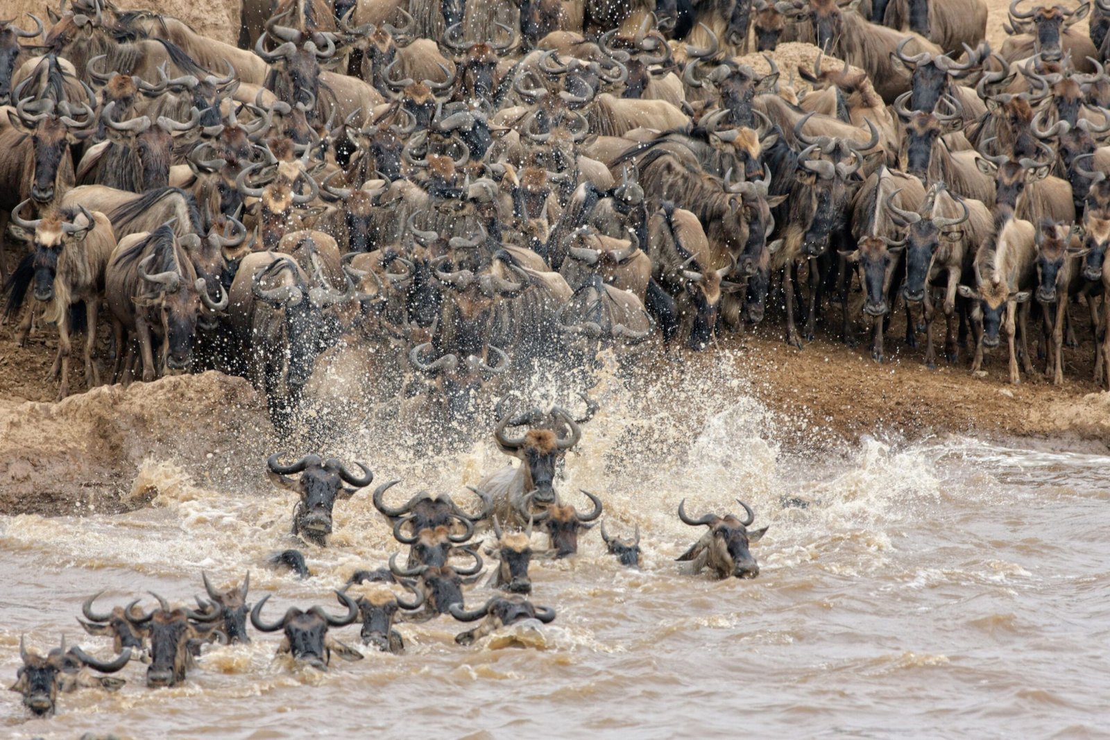 Mara-River-3