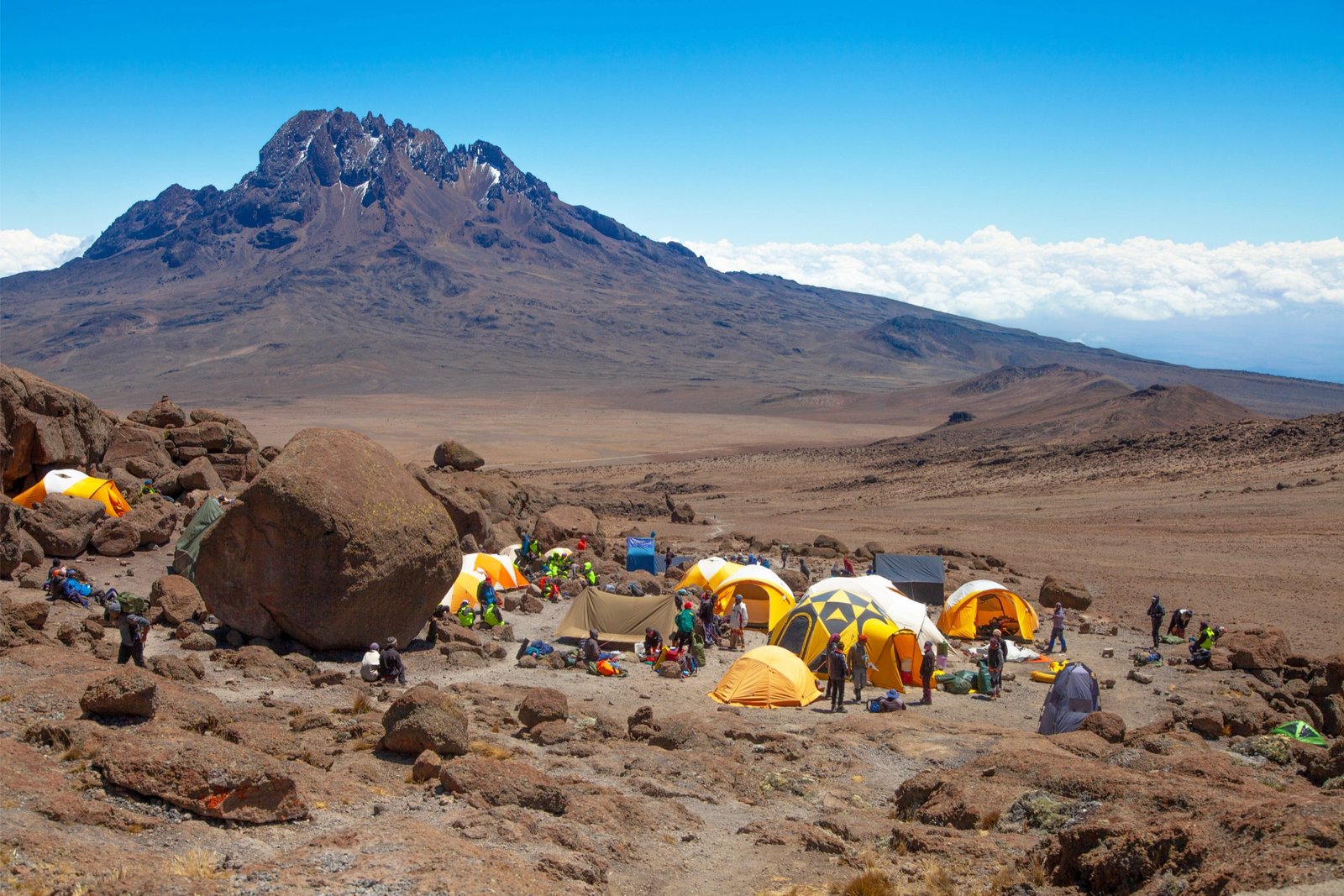 rongai route kilimanjaro