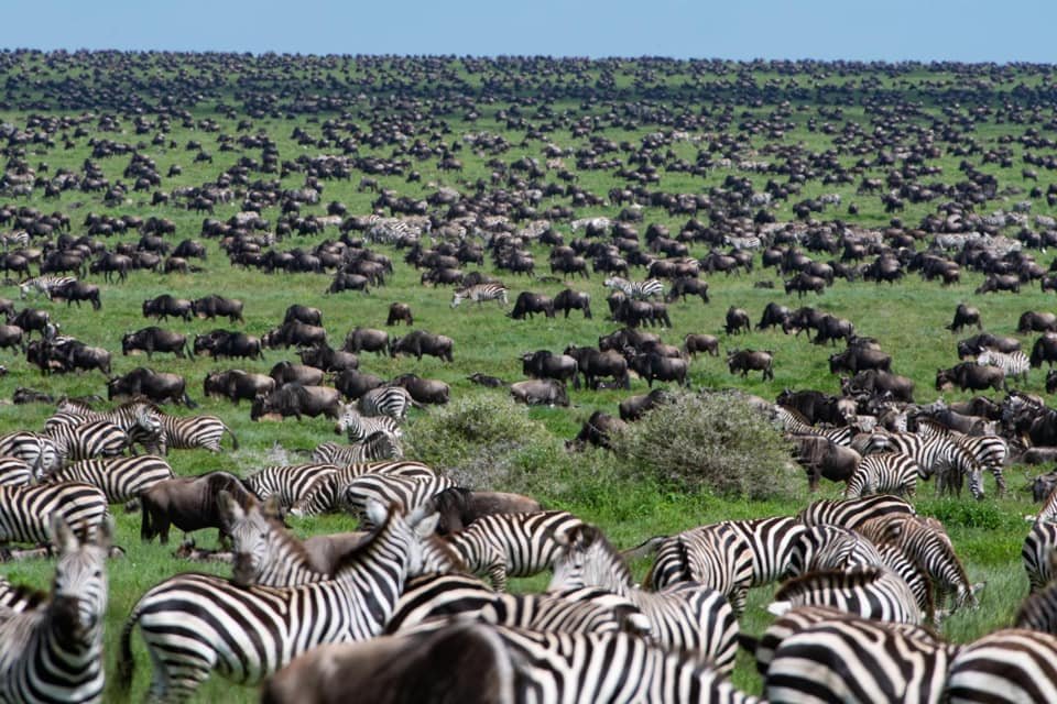 Lake Ndutu
