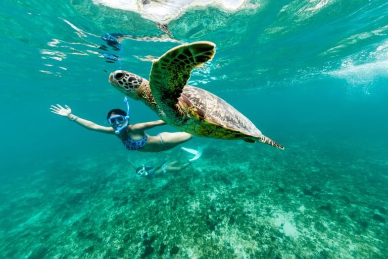 Swimming-with-a-turtle-at-Nungwi-Beach