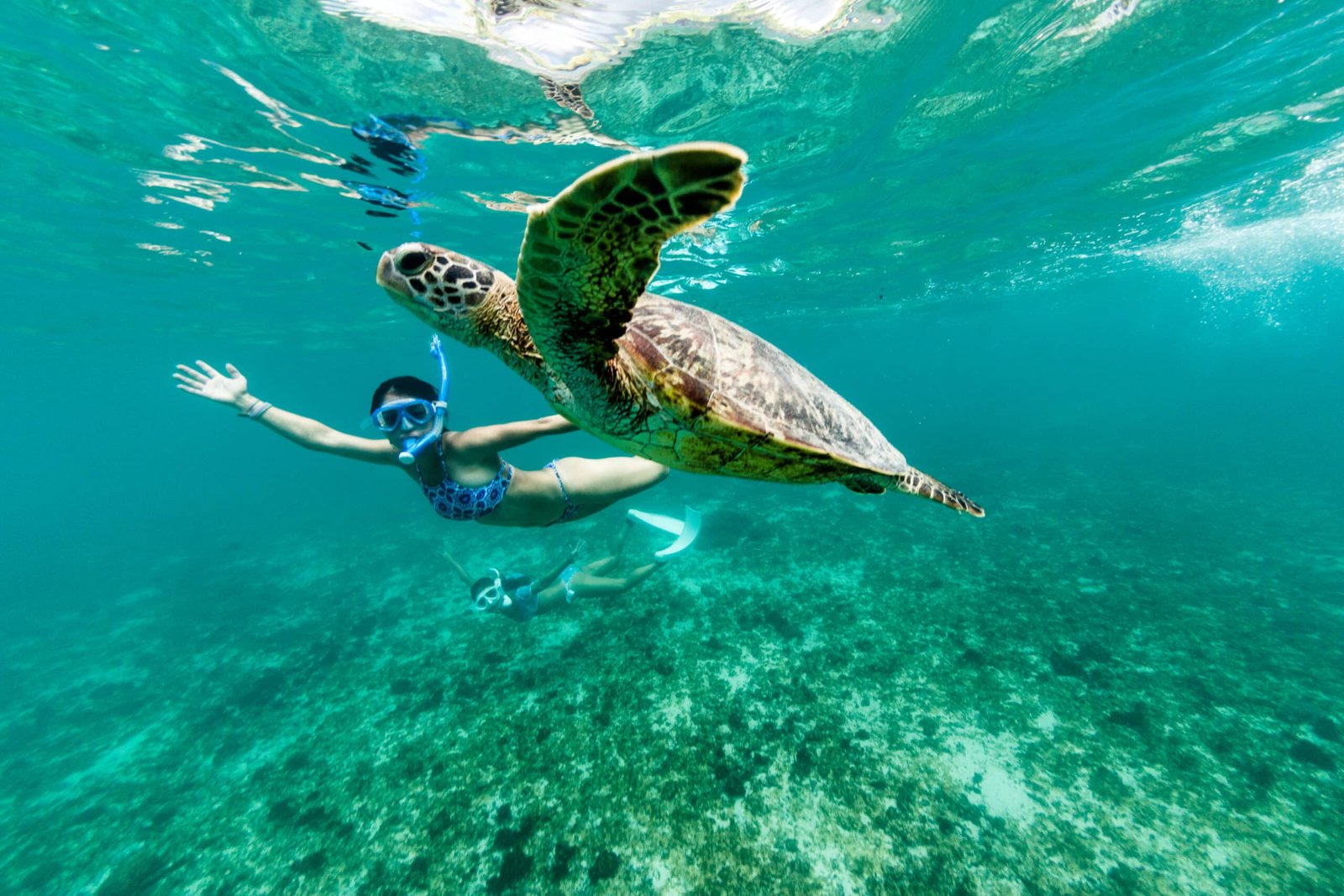 Swimming-with-a-turtle-at-Nungwi-Beach