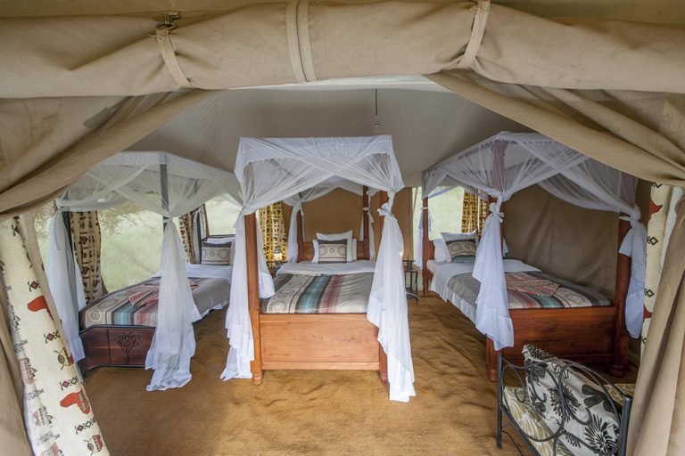 acacia-central-camp-6