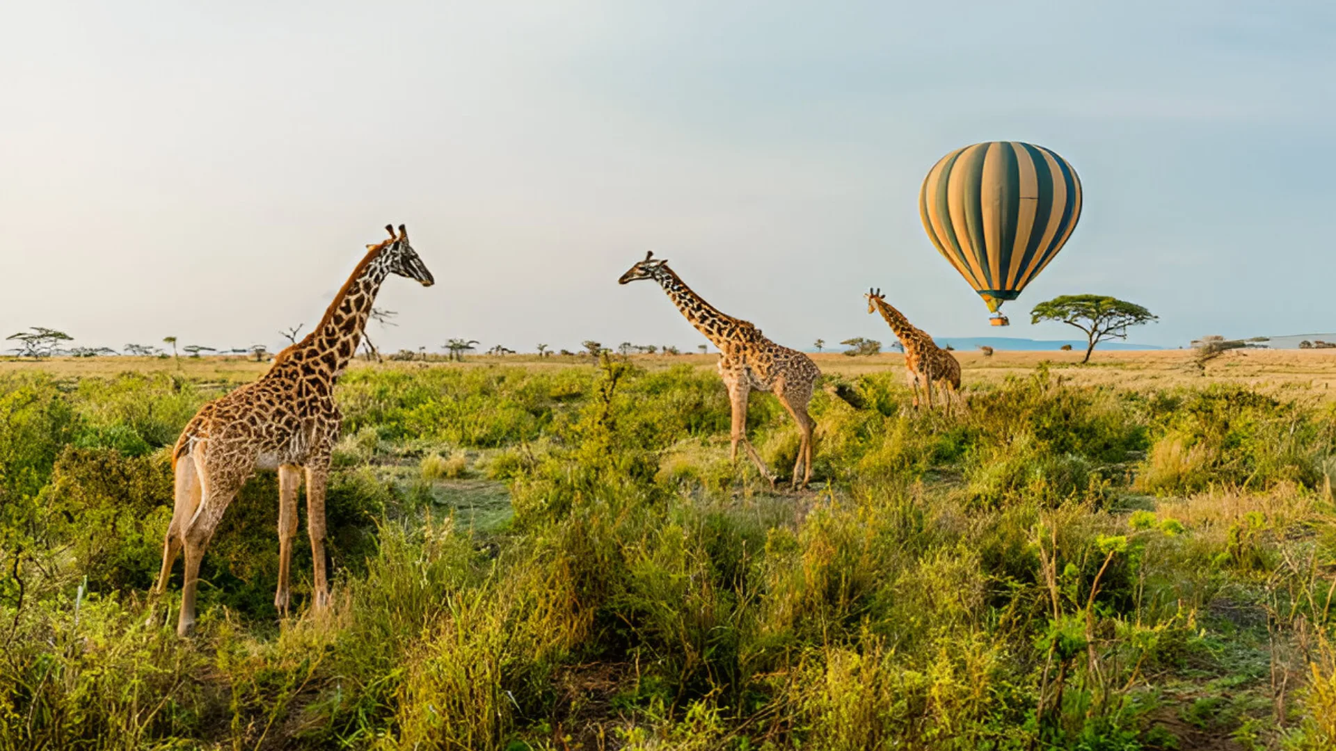 central serengeti