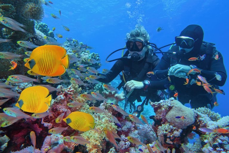couple-diving-at-Pemba-Island-Tanzania