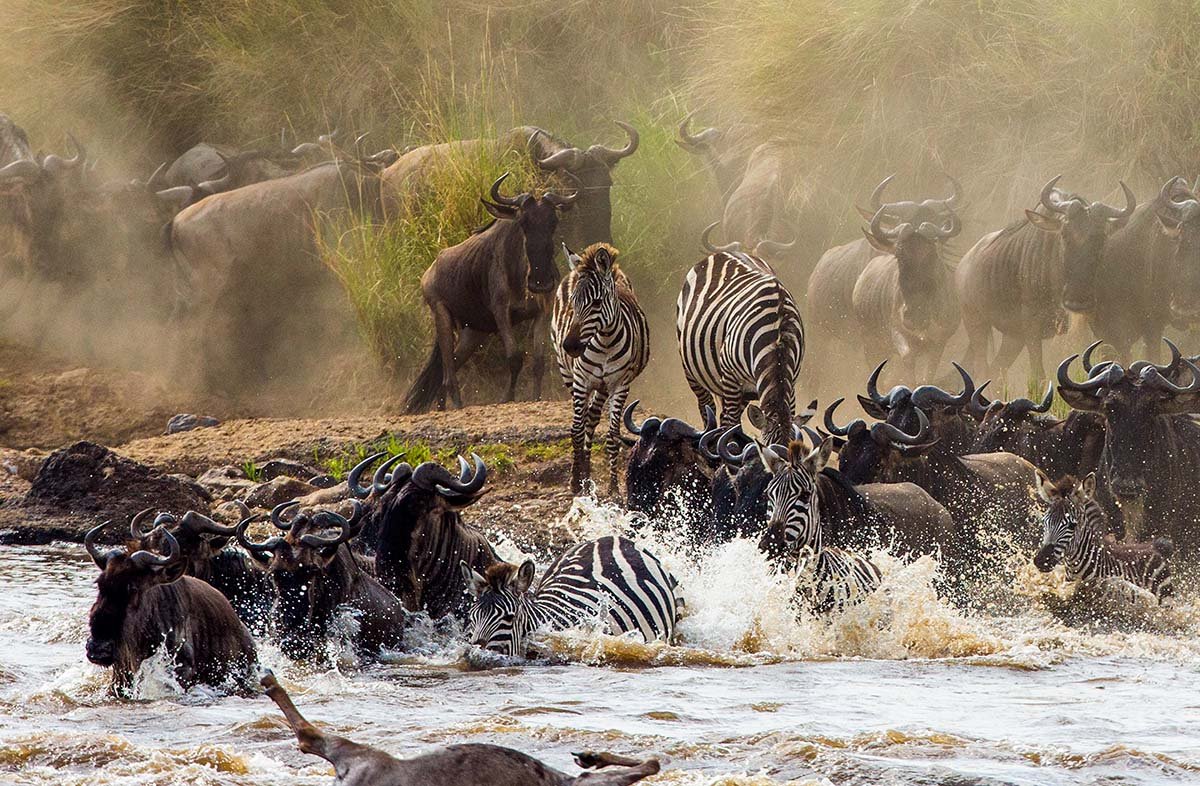 great-migration