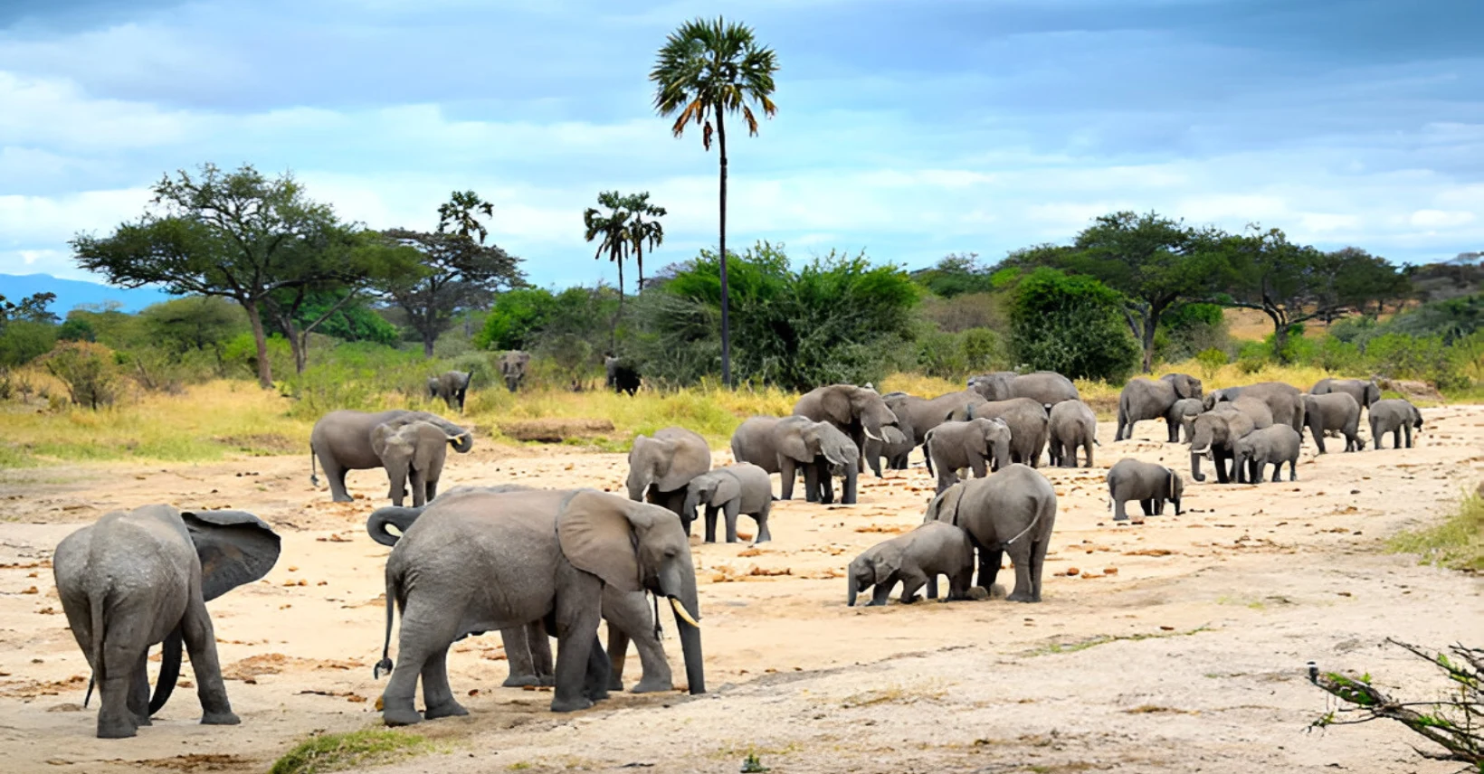 lake-manyara-safari