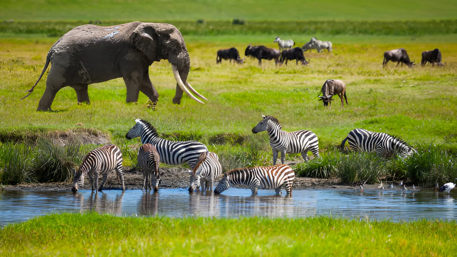 ngorongoro-crater