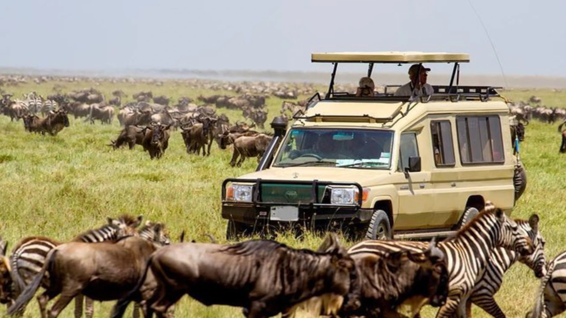 serengeti central migration season