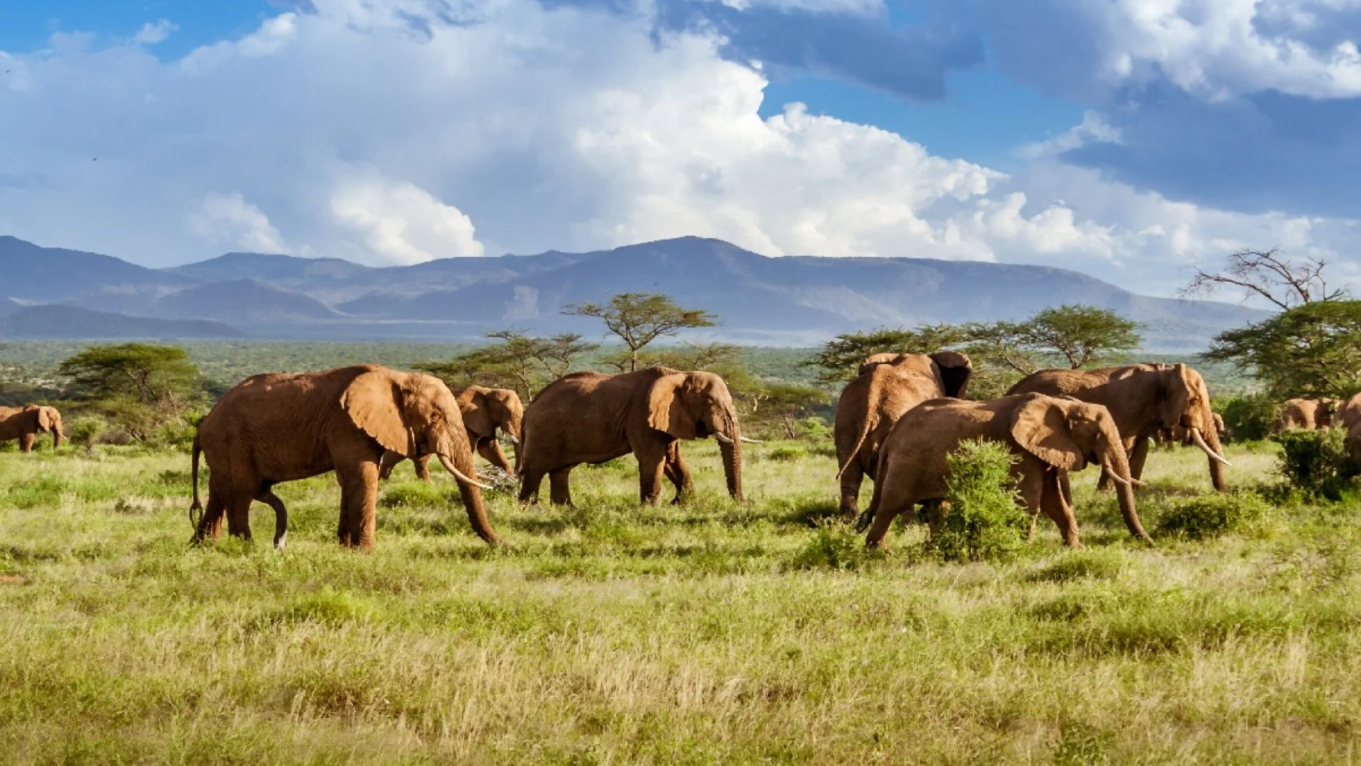 serengeti to ngorongoro crater