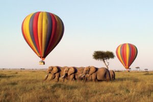 Hot air baloon safari