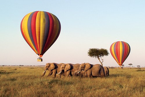 Hot air baloon safari