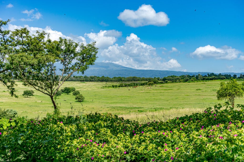 Karatu,_Tanzania