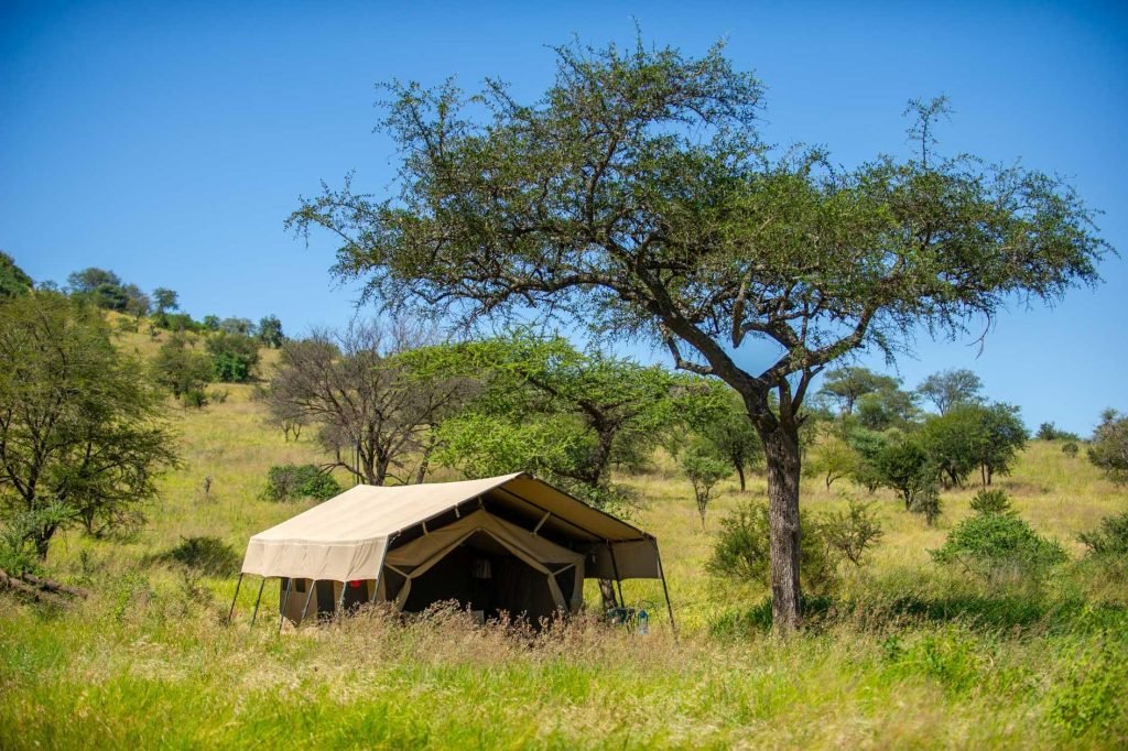 serengeti-national-park-serengeti-kati-kati-tented-camp
