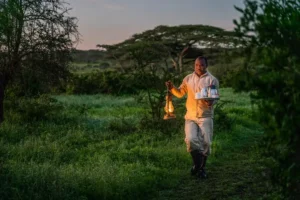 Tanzania in January