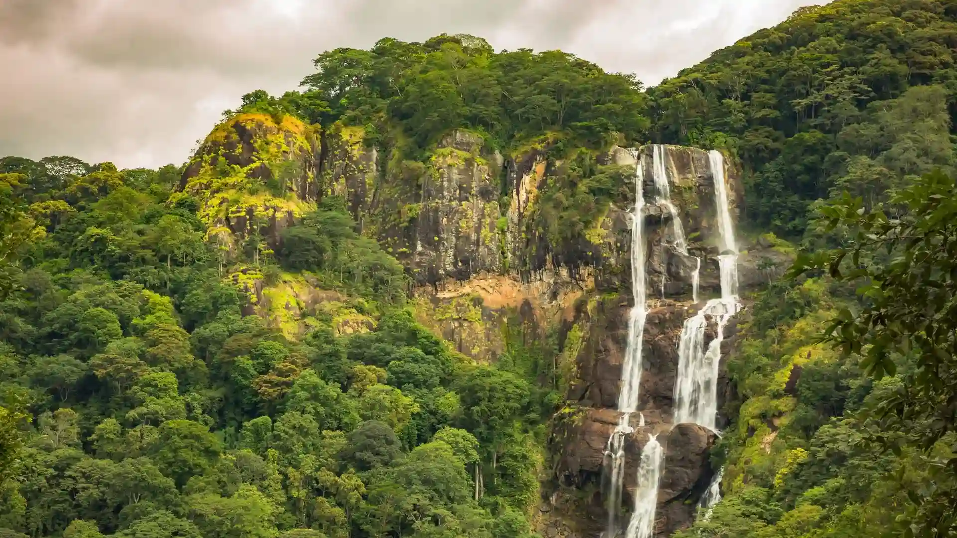 Udzungwa National Park