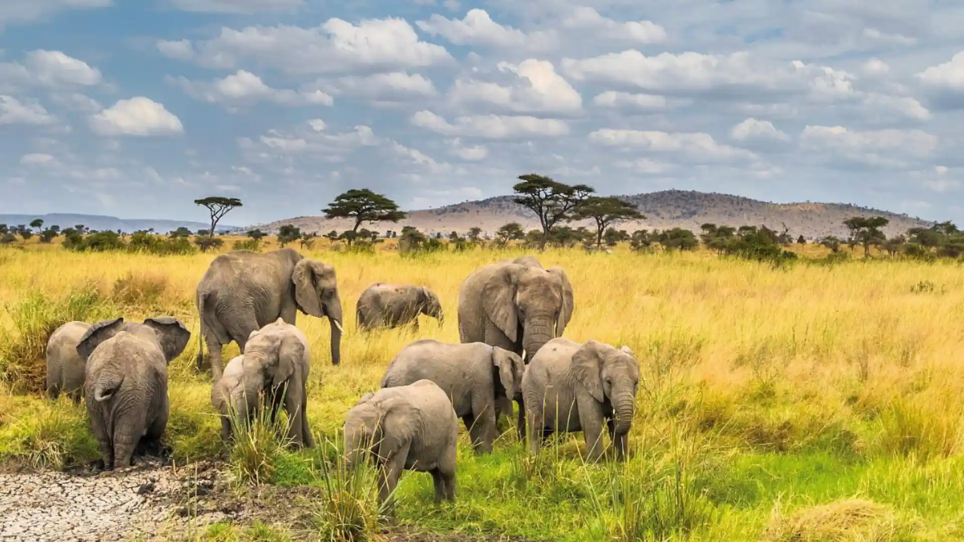 When is the best time to visit Tanzania? - WeGuide African Safaris