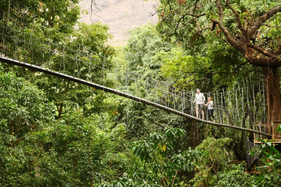 canopy walk