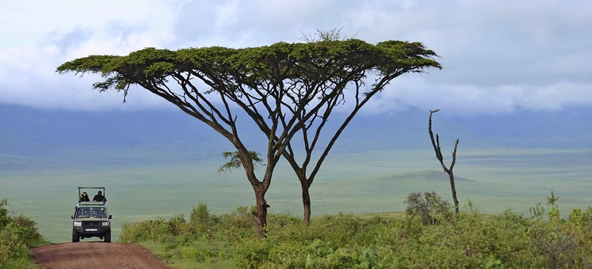 game-drive-ngorongoro-tanzania