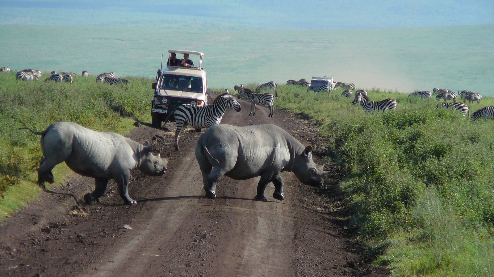 ngorongoro-crater-day-trip