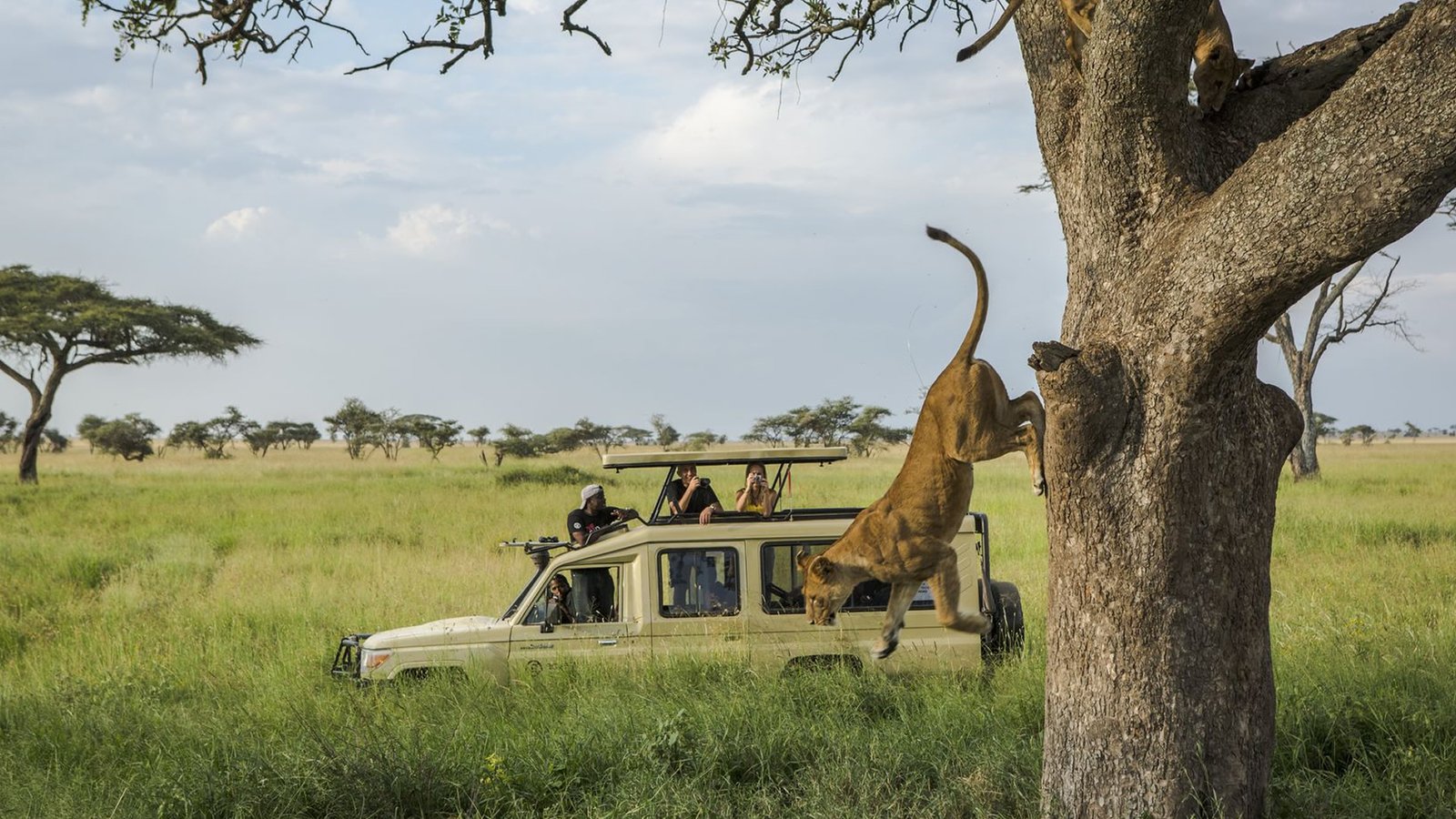 serengeti-national-park1