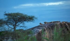 tanzania-in-august