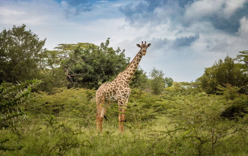 tanzania-in-october