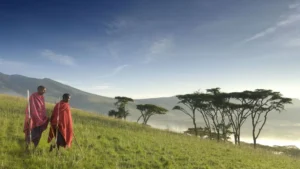 thing to do in tanzania