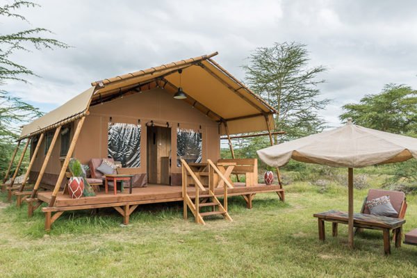 africa-safari-lake-manyara
