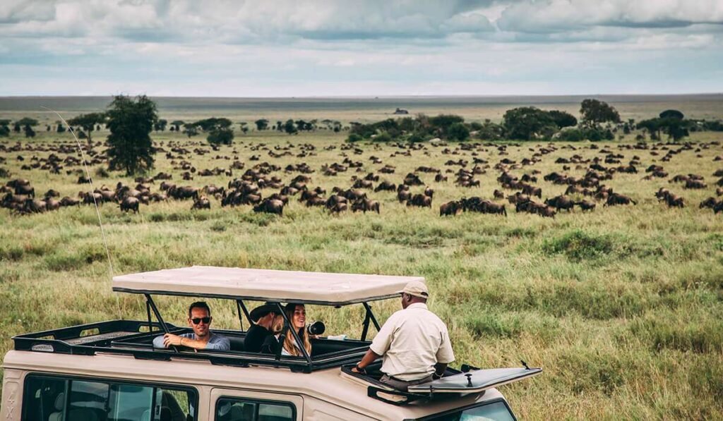 5 Day Tanzania Safari