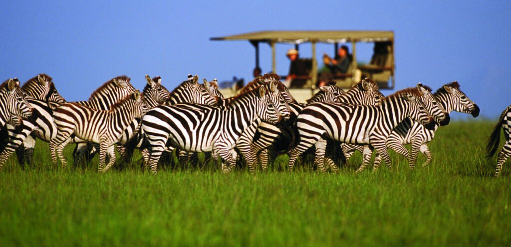 9 Days Safari Vacation Tanzania | Great Wildebeest Migration Safari