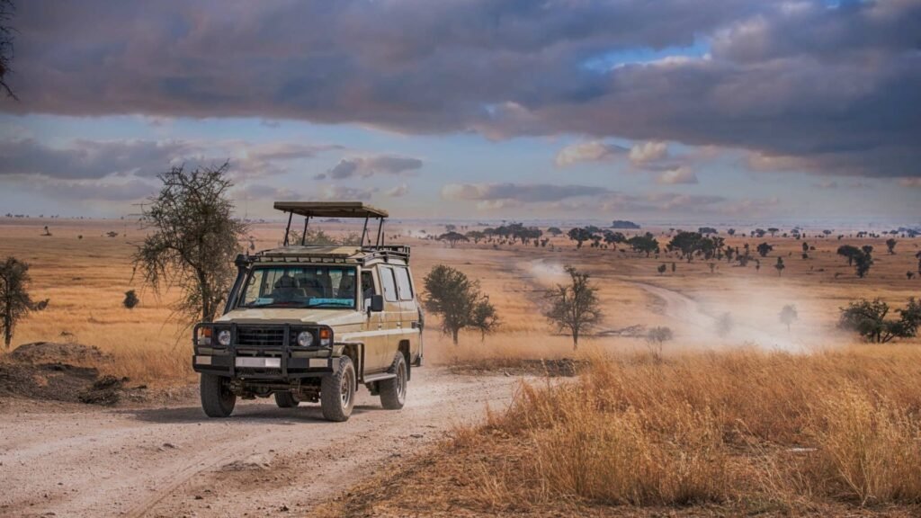 Safari jeep overlooking Serengeti plains during a 2-week Tanzania and Zanzibar adventure tour.