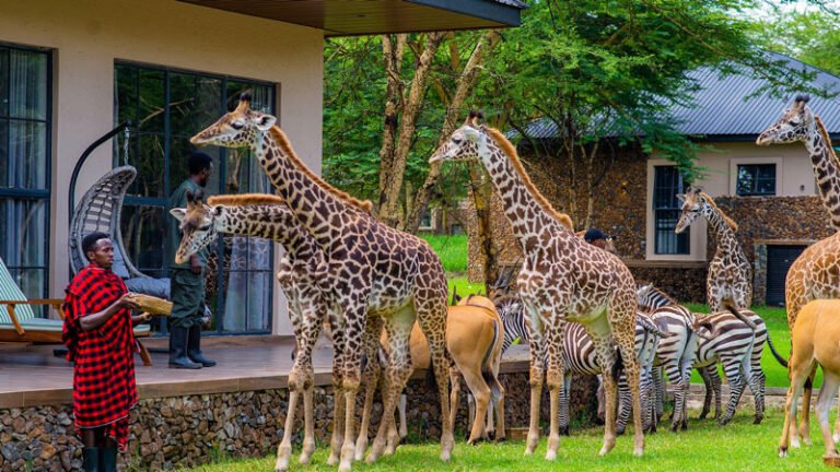 300fece2-abef-43f6-a185-cfbc84bce25b