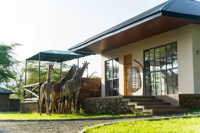 Aya-Sophia-Wildlife-Villa-12