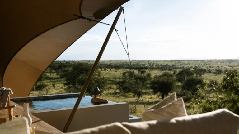 ENVI Sisini Serengeti-swimming