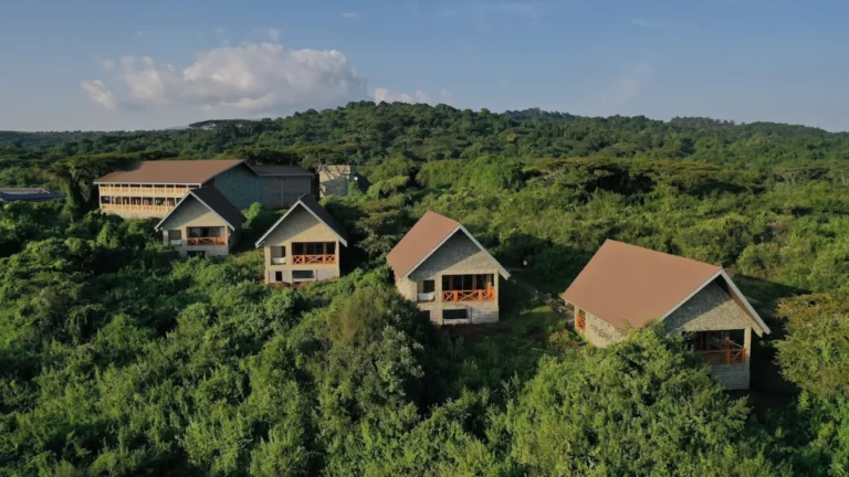 ngorongoro-crater-rim-lodge-view