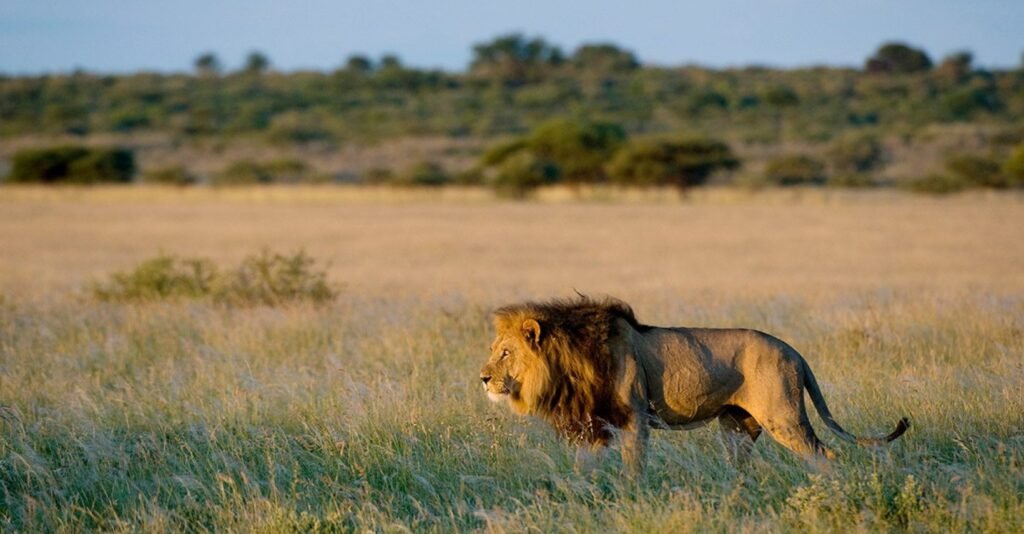 where to go in africa in february