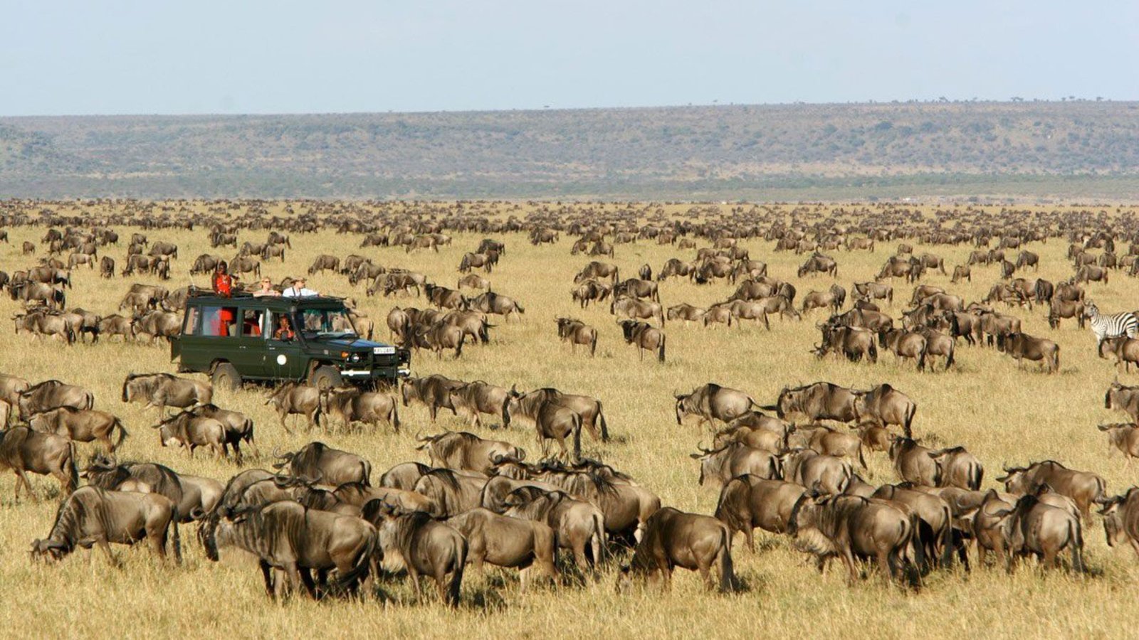 Masai Mara View Point in Kenya