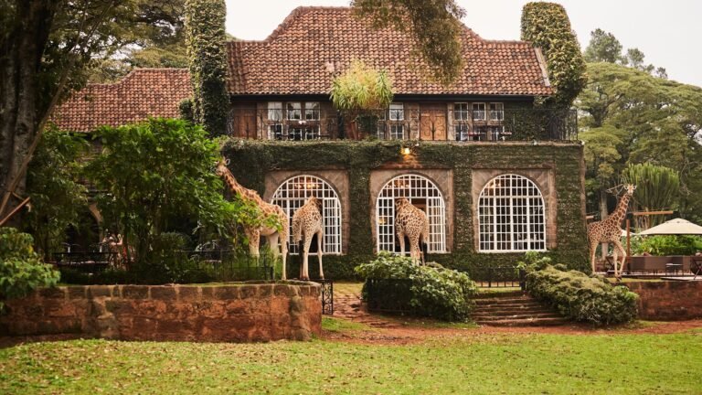 Kenya-Giraff-Manor-3