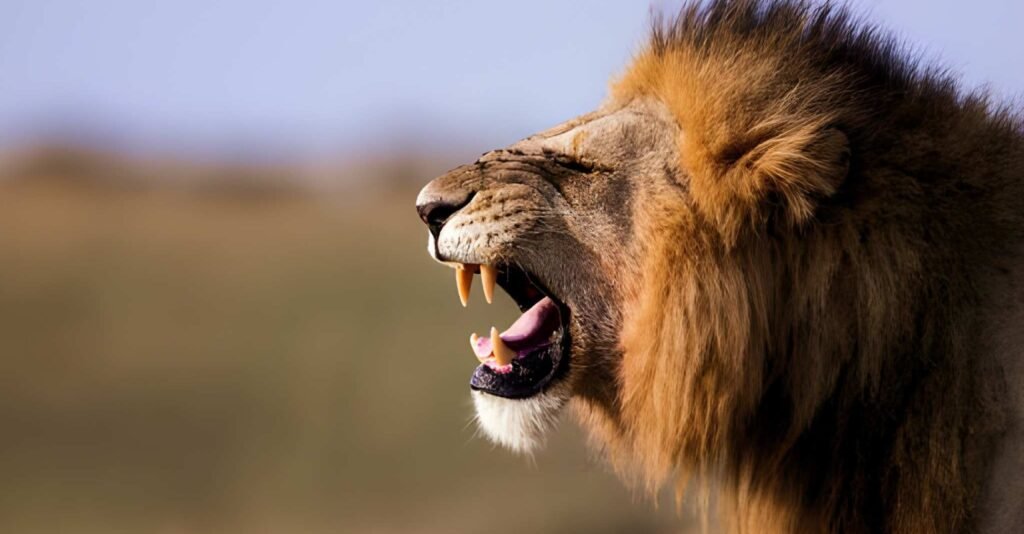 5-day-masai-mara-fly-in-safari