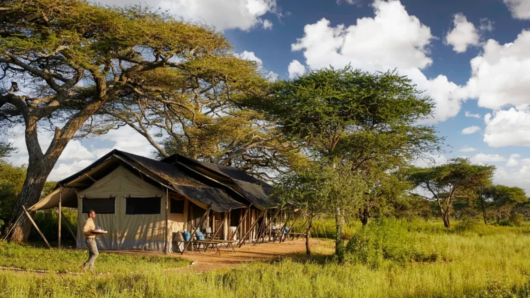 691b03864696e15e9c4711eb_carousel-9