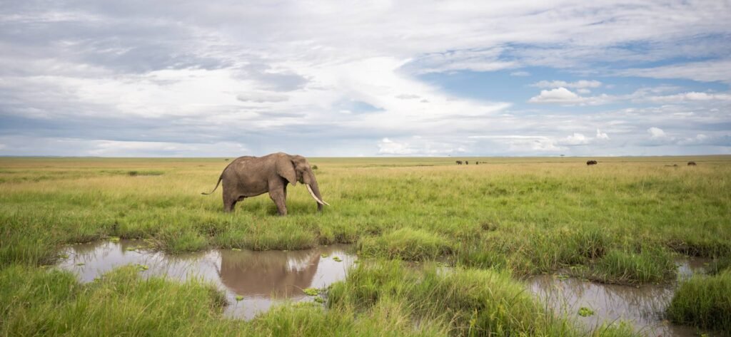 Best safari weather in Kenya in April
