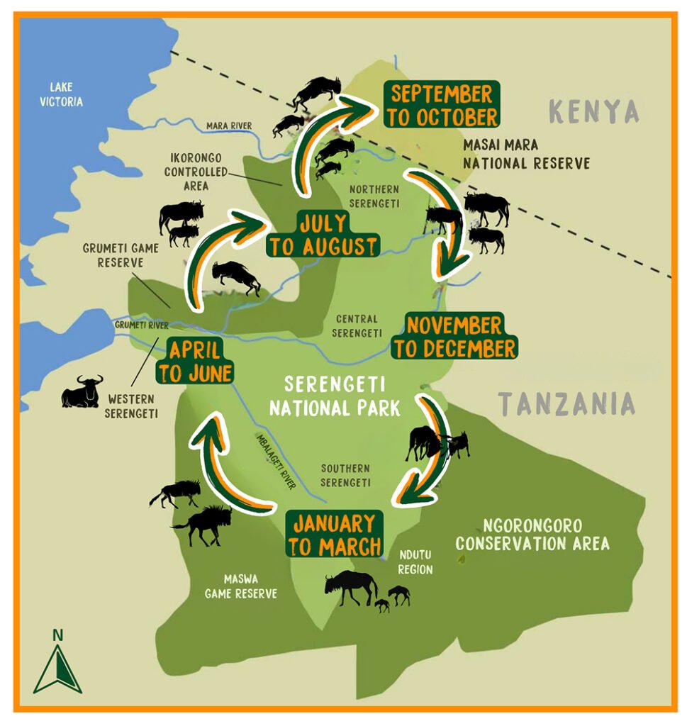 The best time to see the Great Migration each month