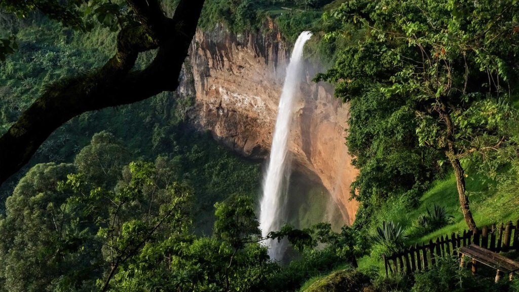 Birdwatching in Kibale Forest Uganda during the short rainy season — September to December travel