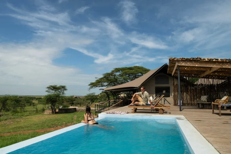 Lemala-Nanyukie-Lodge_Pool-1-compressed-scaled