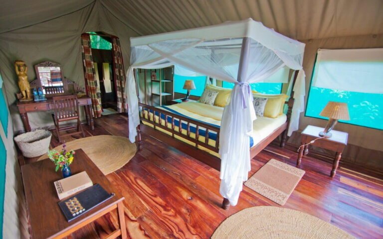 Mbali-Mbali-Gombe-Forest-Lodge2