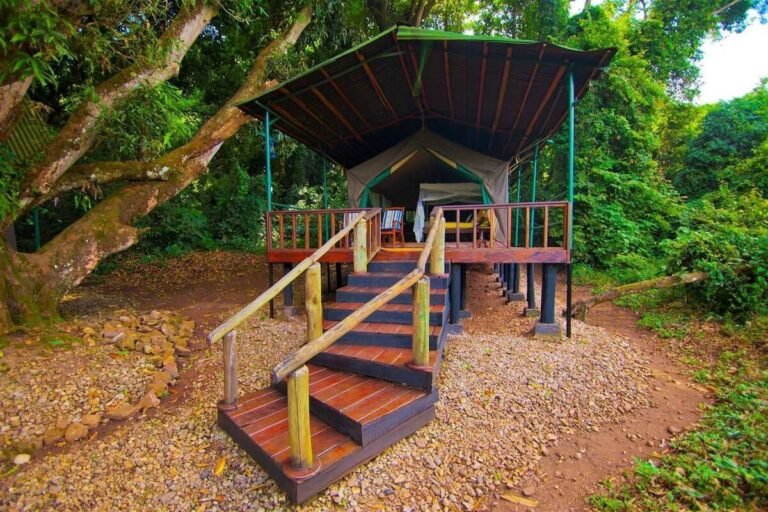 Mbali-Mbali-Gombe-Forest-Lodge3