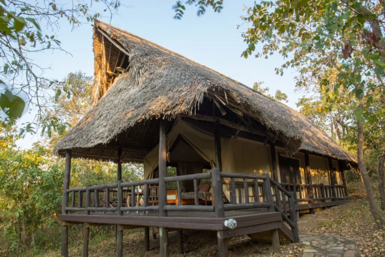Vuma-Hills-Tented-Camp-by-Foxes-Safari-Camps_Tent-exterior