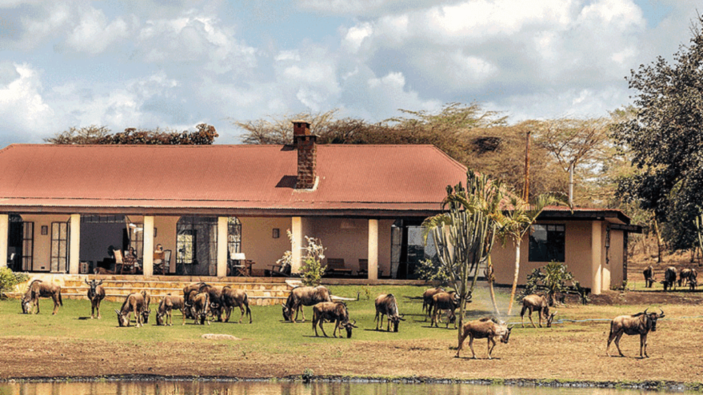 Wildlife Residence Tanzania eco-lodge surrounded by zebras and wildebeests near Arusha