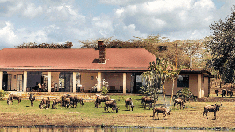 wildlife-residence-lodge-1200x675